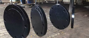 Carbon Steel IBR Blind Flange Carbon Steel IBR Blind Flange