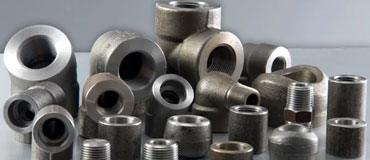 Carbon Steel IBR Approved Forged Fittings